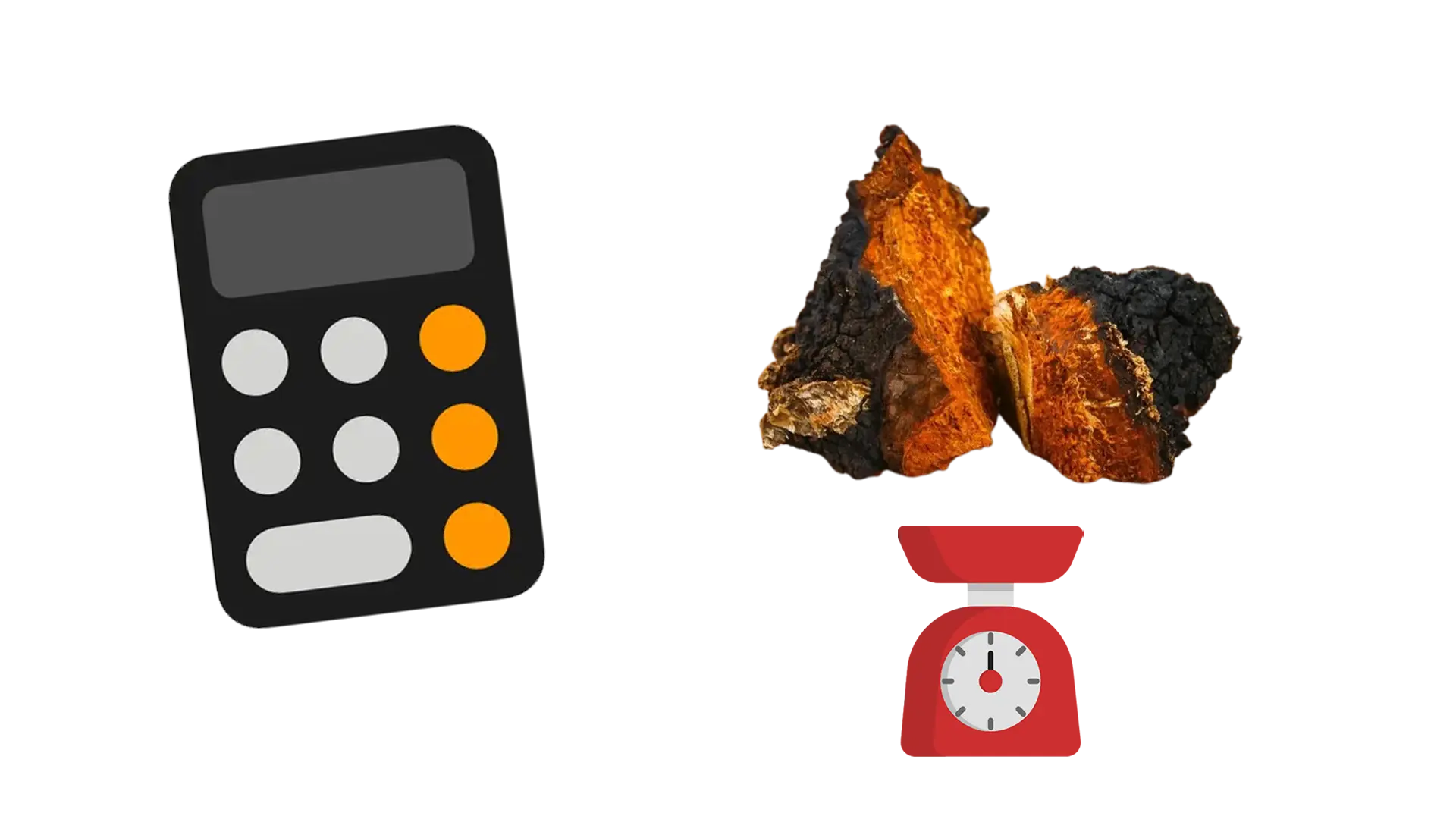 Chaga dosage per day: how much to take? Recommended daily dose & calculator