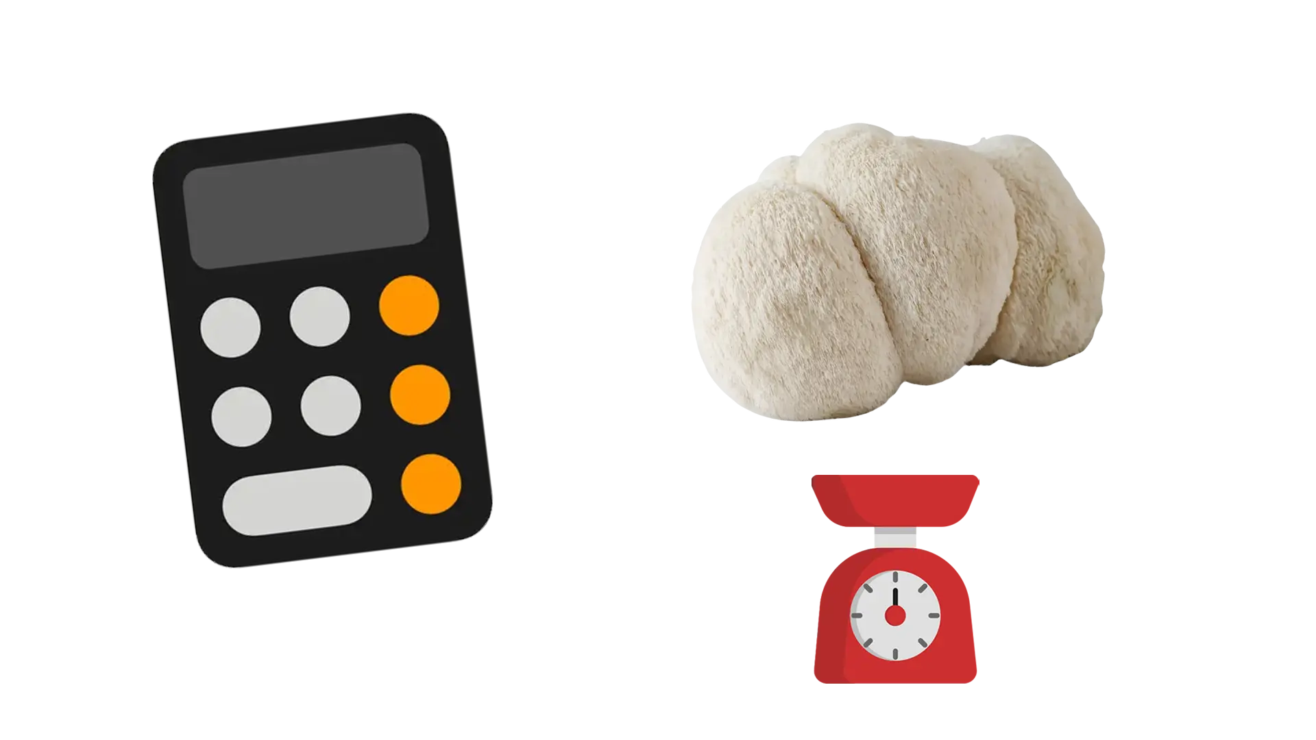 Lion’s Mane dosage per day: how much to take? Recommended daily dose & calculator